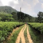 48382885_2018600981765160_511256220967895040_o