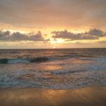 53229493_2063801493911775_3721189090075344896_o